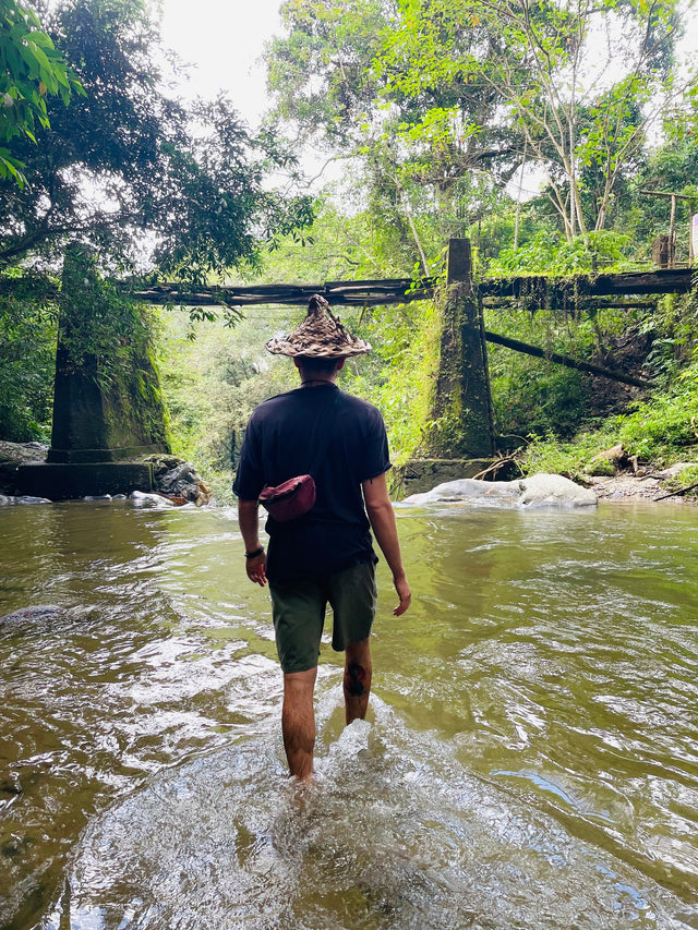 Wieder am Anfang. Kakao Mischa auf Kakao-Reise.