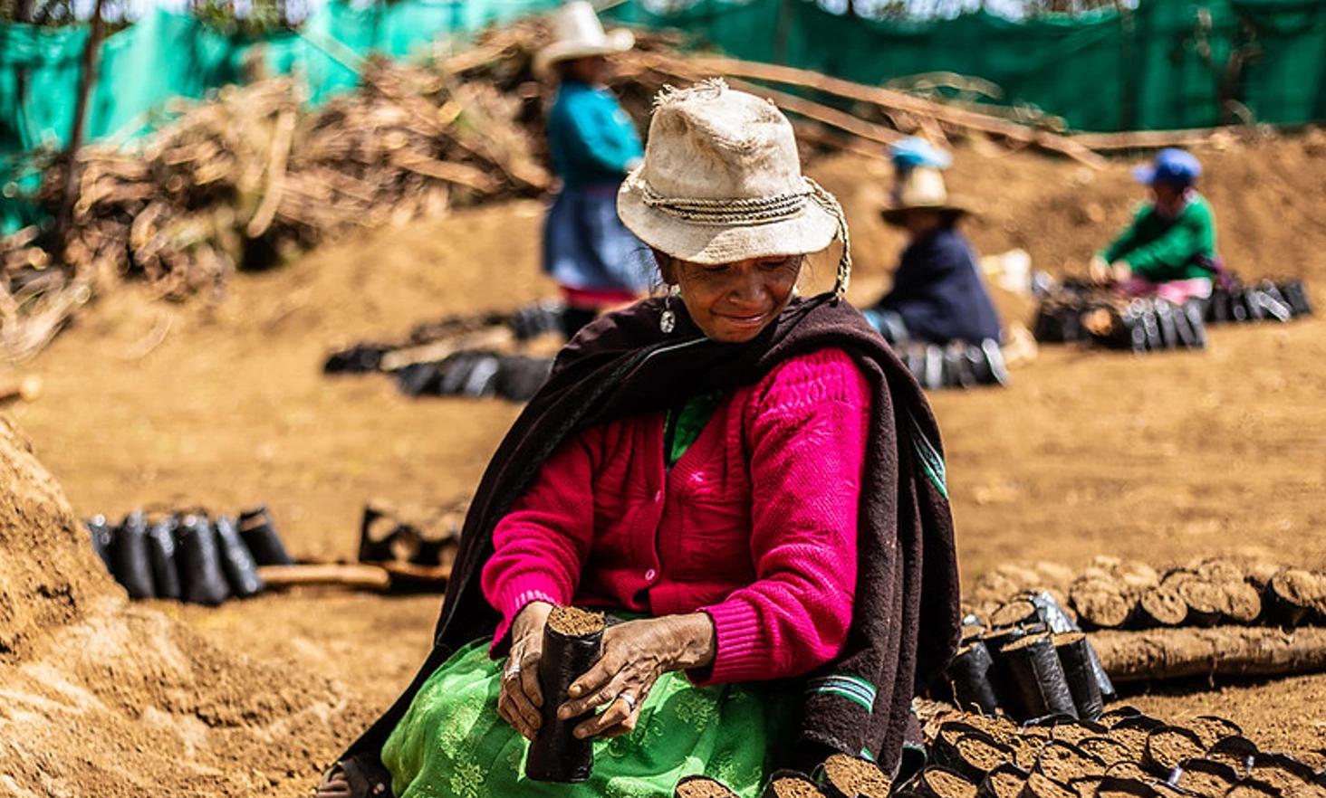 Kakao-Partnerschaft mit Original Beans