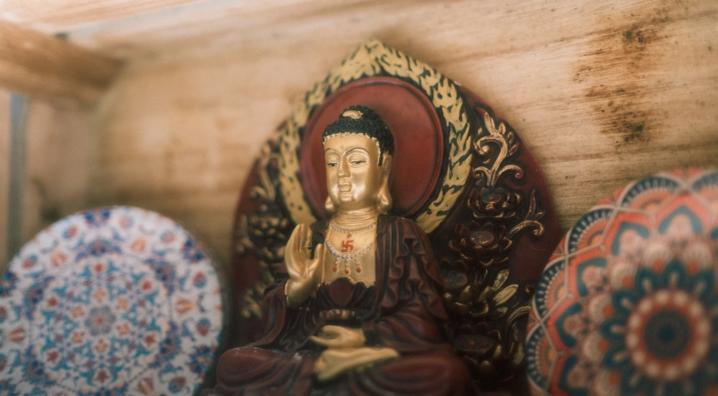 Kakao Mischa: Wohin geht die Reise?