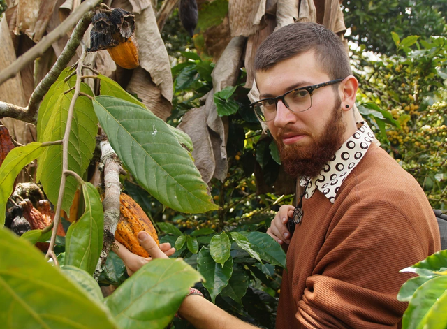 Kakao Mischa über Nahrung, Energie und Kakao