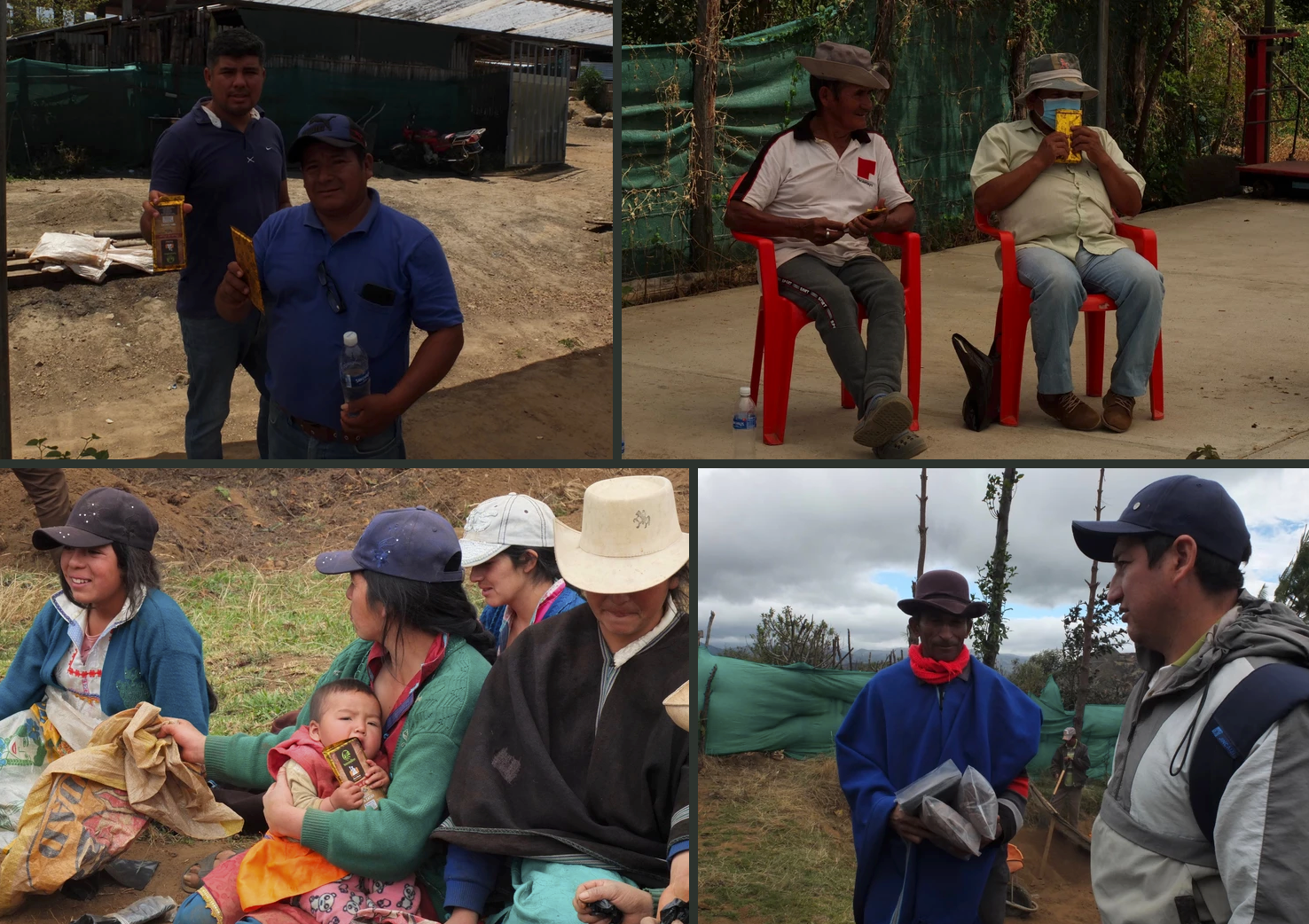 Kakao Mischa Kooperation Original Beans