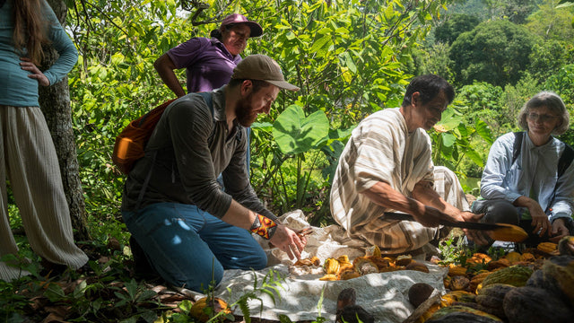 Eine Reise zum Ursprung unseres Kakaos - unterwegs in Perú 🌿✨