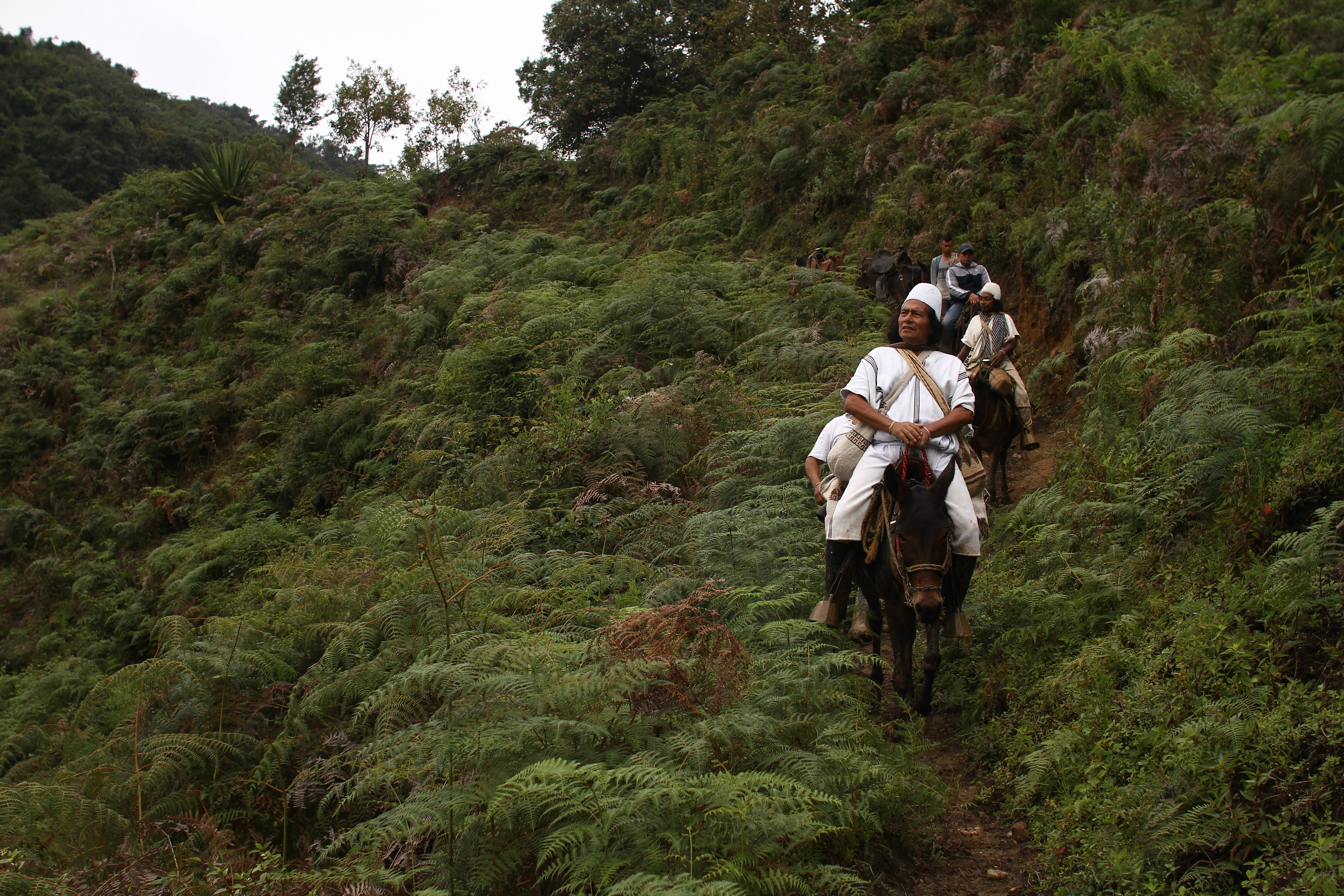 International Day of the World's Indigenous Peoples
