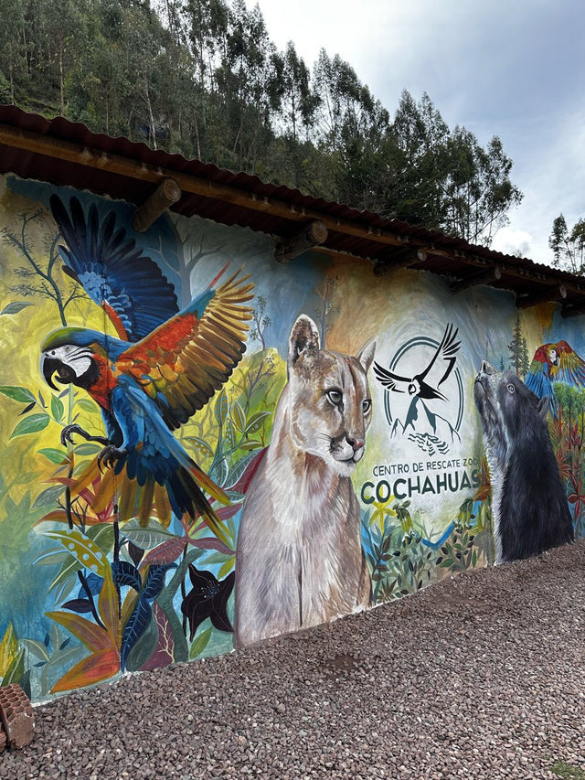 Cochahuasi 2026: Ein Jahr nach unserem Besuch – und ein historischer Schritt