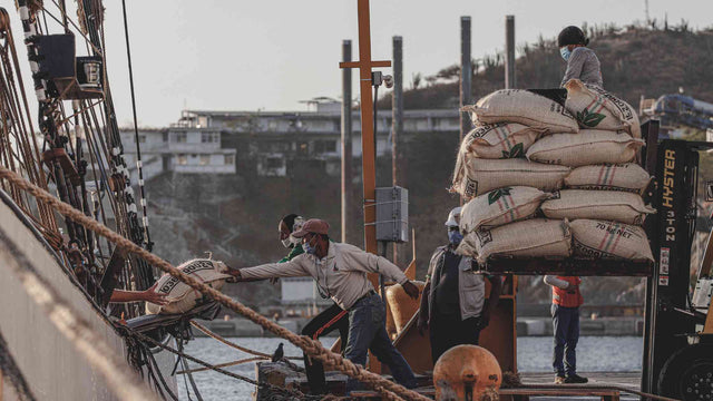 (M)ein neuer Kakao: Arhuaco