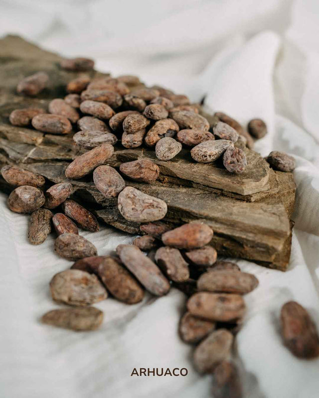 Der Arhuaco: Kakaobohnen