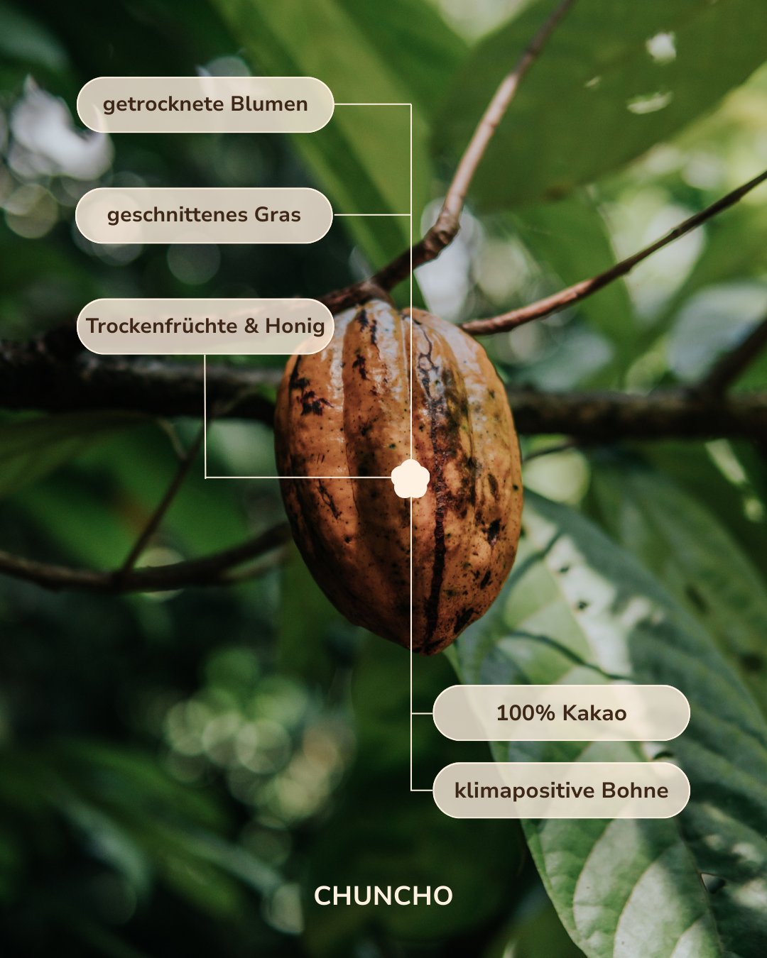 Selbstliebe Kakao Set: Zeremonieller Chuncho Kakao, Affirmationskärtchen + Gratis Bilderrahmen