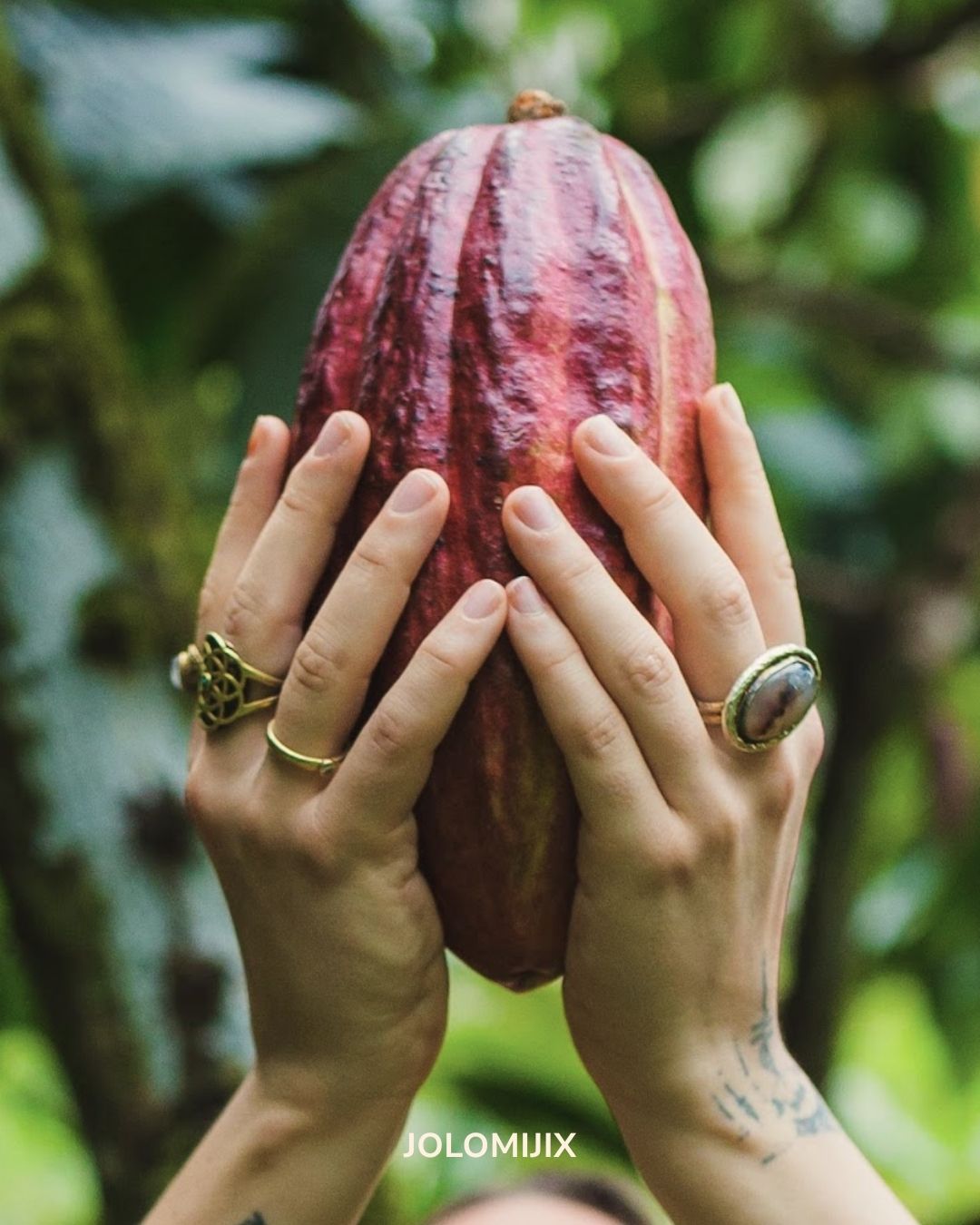 The Jolomijix: Indigenous Ceremonial Cacao (limited)