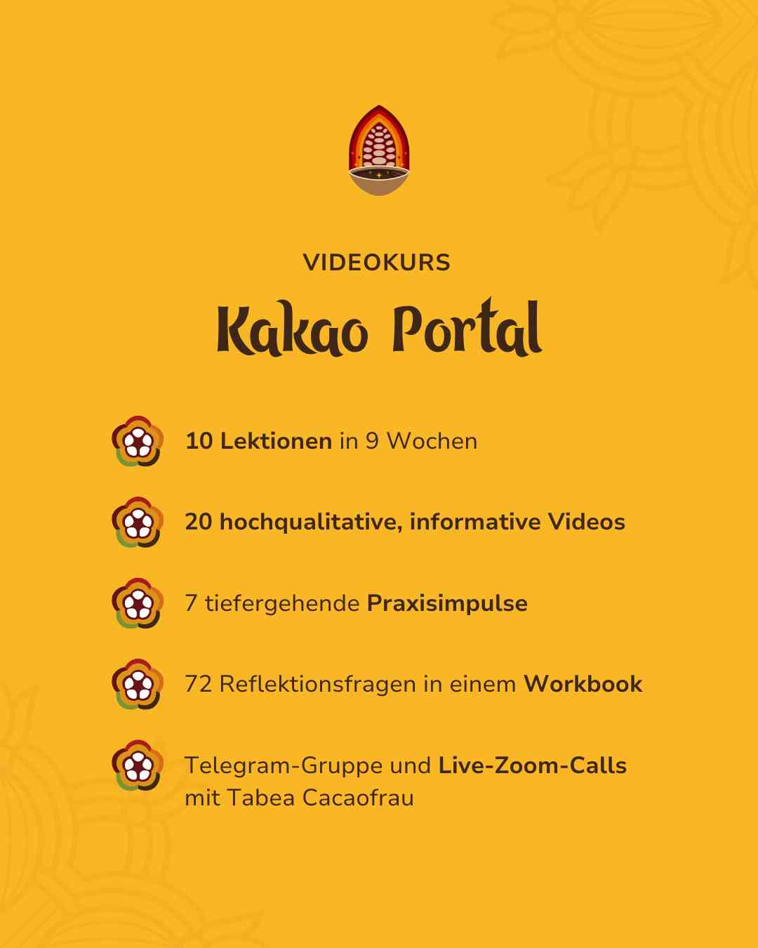 Videokurs: Kakao Portal - Kakao Mischa