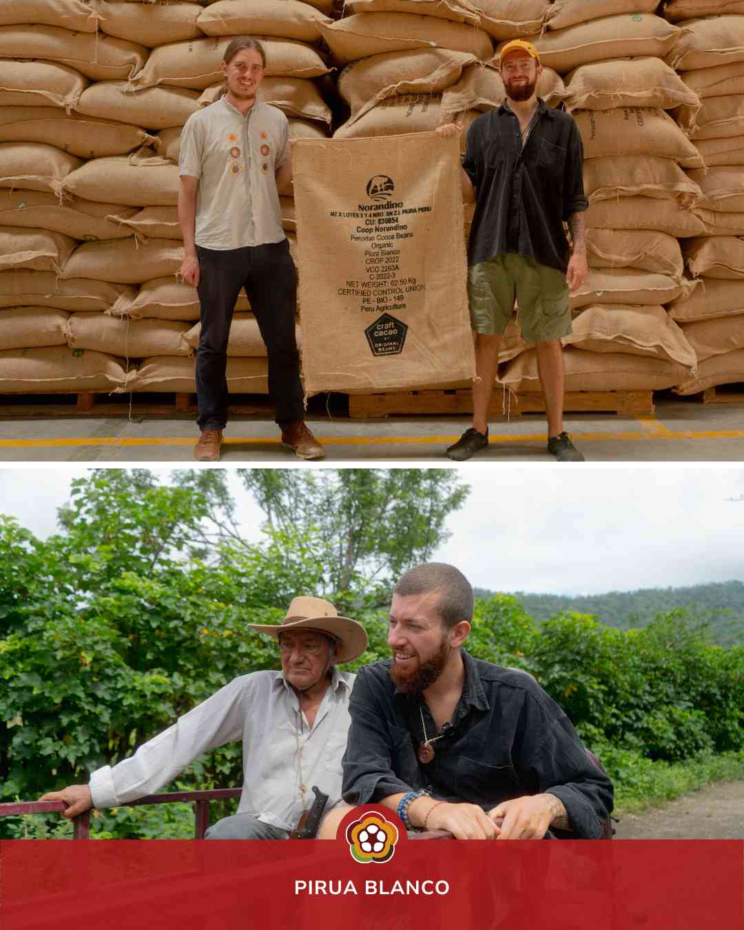 The Chuncho: Cocoa beans