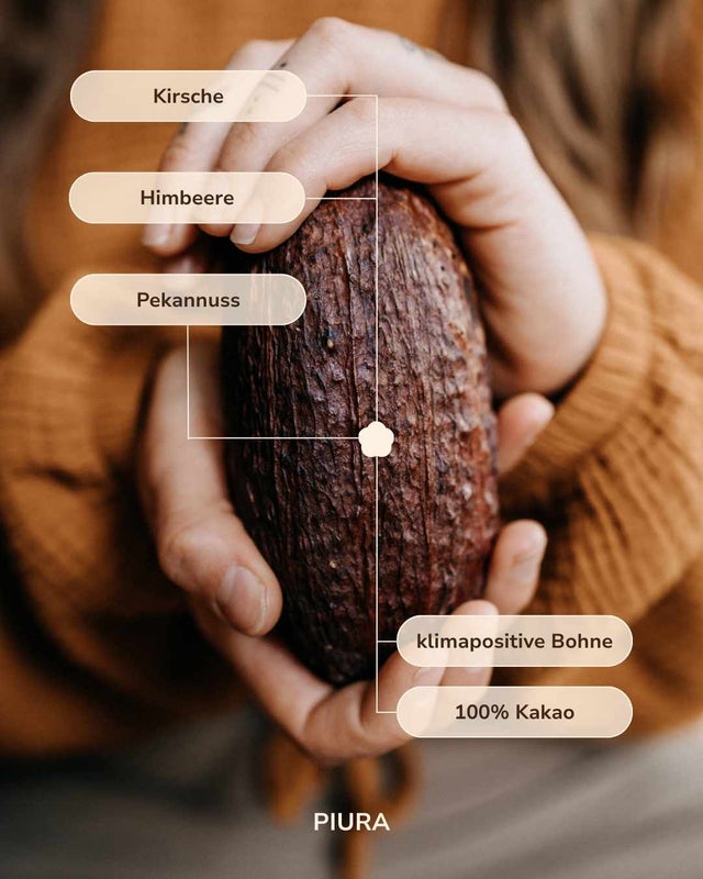 The Piura Blanco - Ceremonial cacao in 5kg blocks