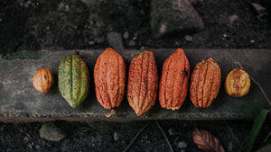 Was ist zeremonieller Kakao? Und warum ist er so viel mehr als ein Getränk?