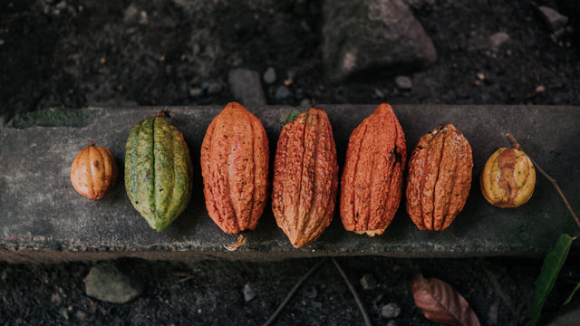 Was ist zeremonieller Kakao? Und warum ist er so viel mehr als ein Getränk?
