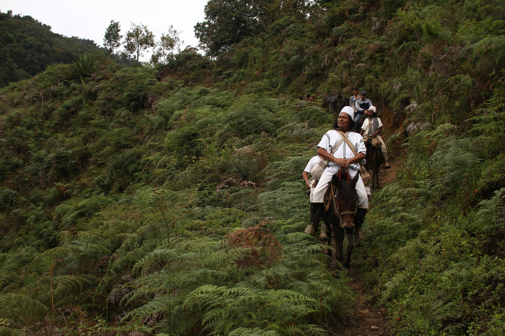 International Day of the World's Indigenous Peoples