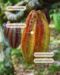 The Arhuaco - indigenous ceremonial cacao (limited)