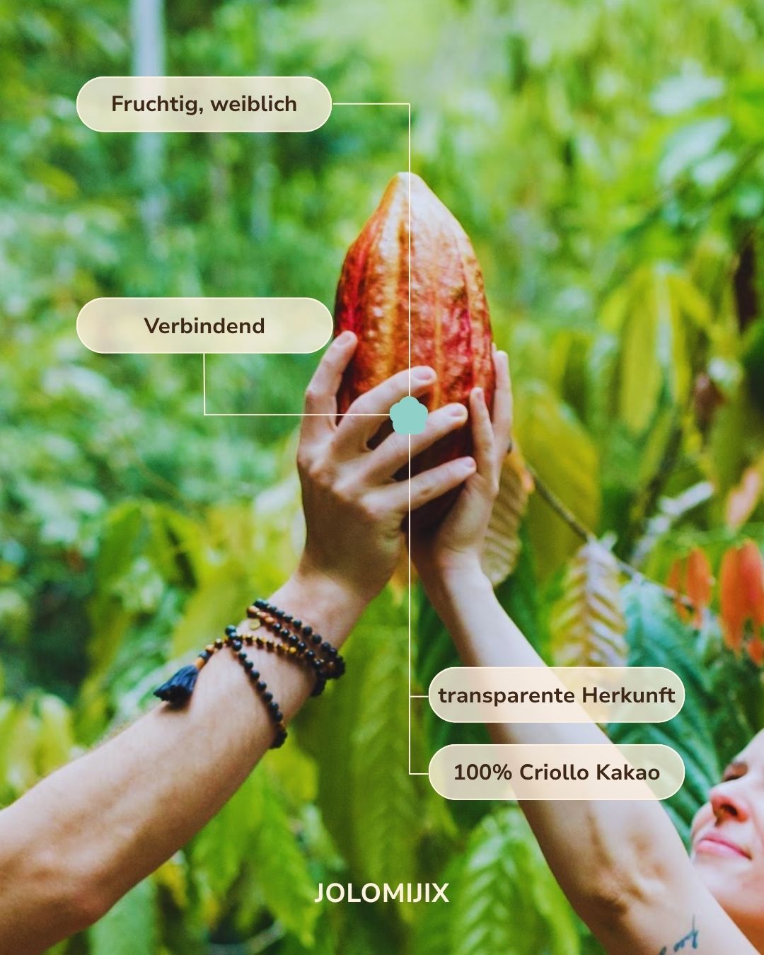 The Jolomijix: Indigenous Ceremonial Cacao (limited)