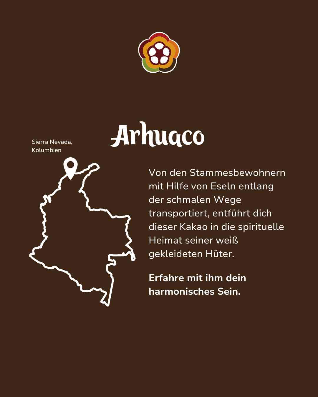 The Chuncho: Cocoa beans