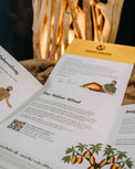 Kakao Faltflyer: Geschichte, Zubereitung und Rituale kompakt - Kakao Mischa