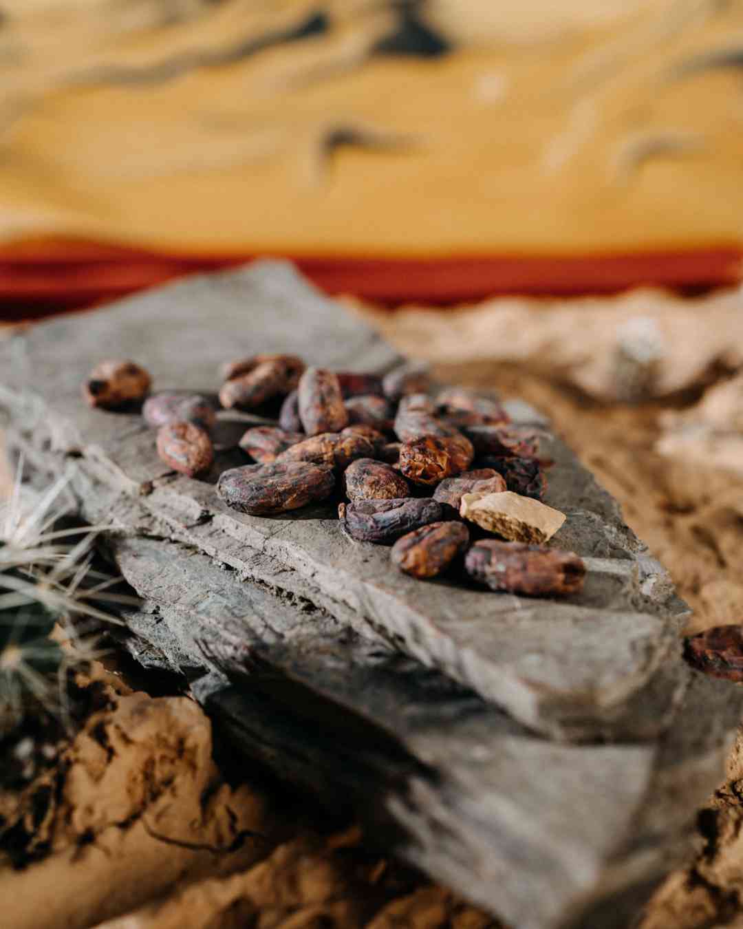 The Chuncho: Cocoa beans