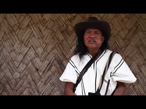 Der Arhuaco: 150g indigener & zeremonieller Kakao (limitiert)